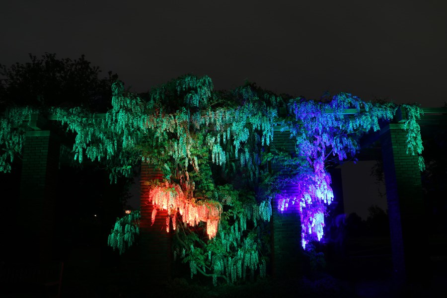 lightpainting-illuminated-bines.jpg