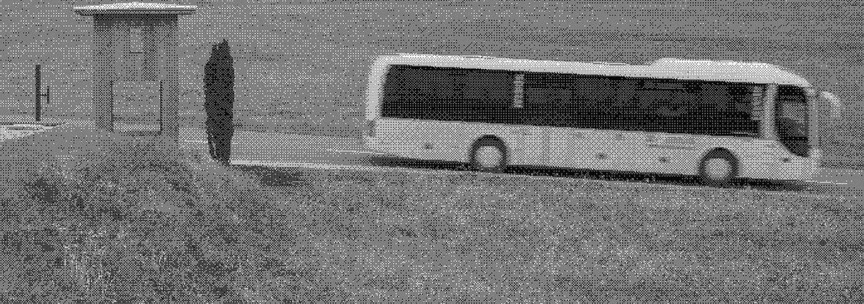 BSK37b.jpg