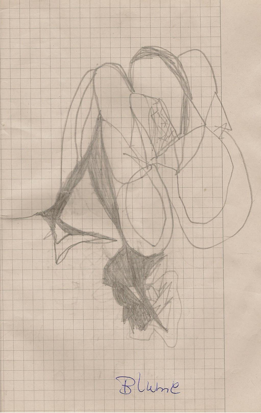 klein_Z-Herbstimpressionen2019Blume.JPG