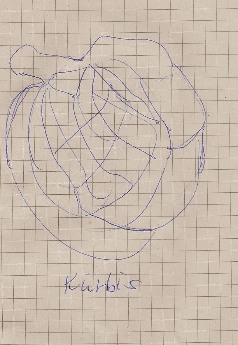 klein_Z-Herbstimpressionen2019Kuerbis.jpg