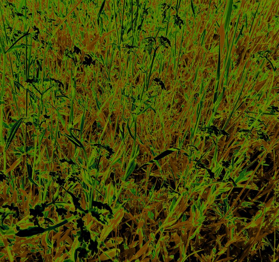 bin im garten5 (orig 2,10MB).JPG