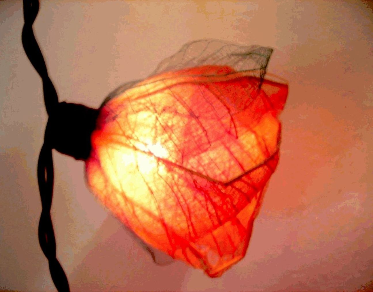 von wert und sein.JPG