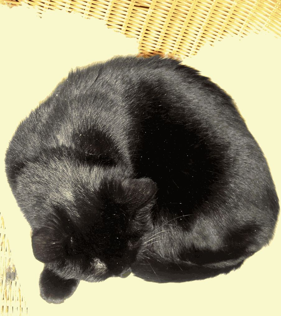 s eigen gschmäckle.JPG