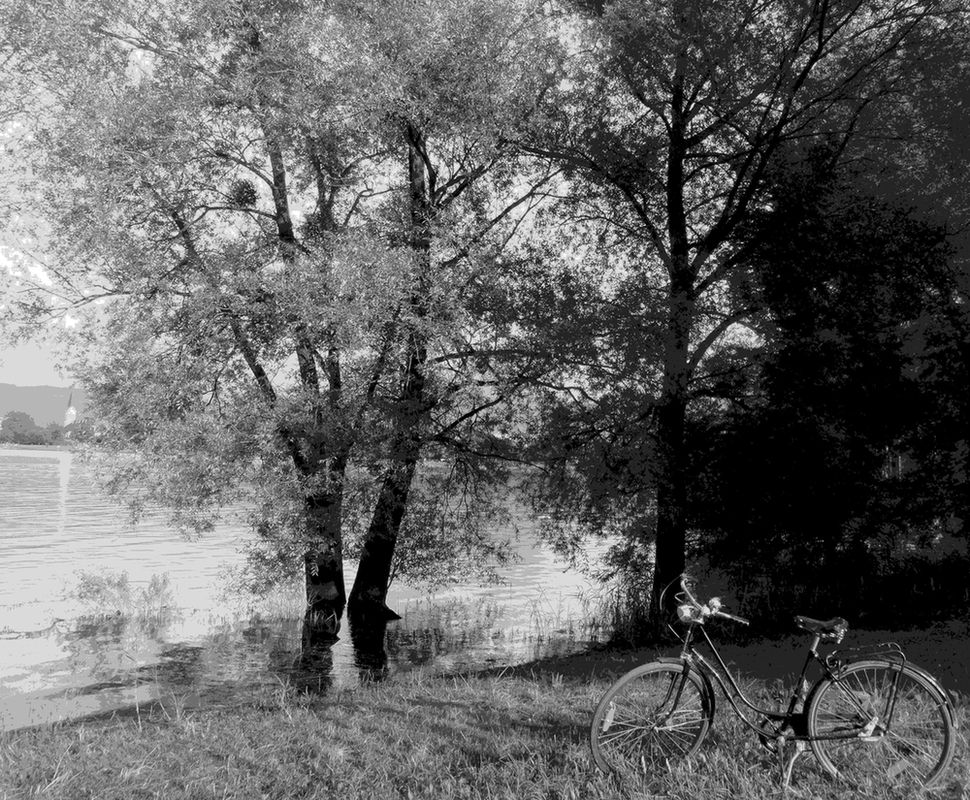 begrünung fehlt.JPG