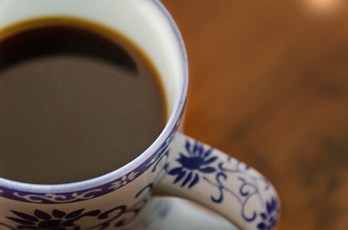 back to the roots.jpg