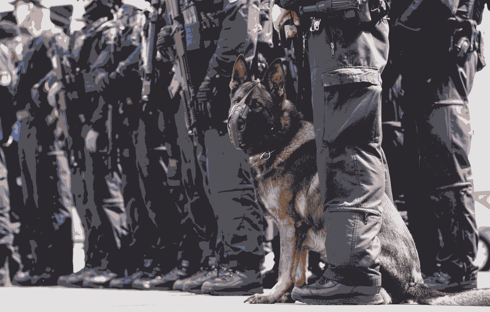 zufällig anwesend.jpg