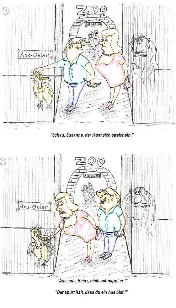 AasgeierXXXa_bearbeitet-1.jpg