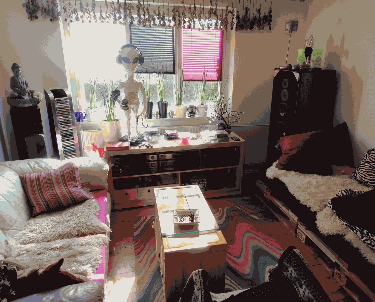 sperr d lauscher.JPG