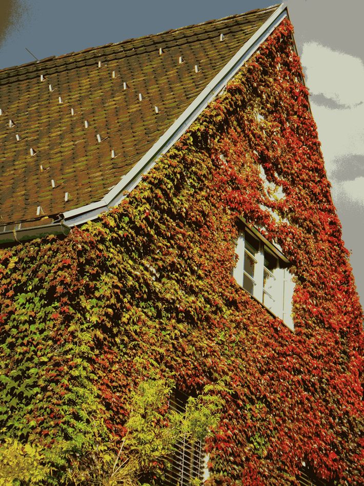 positiv auf d spitze treiben.JPG