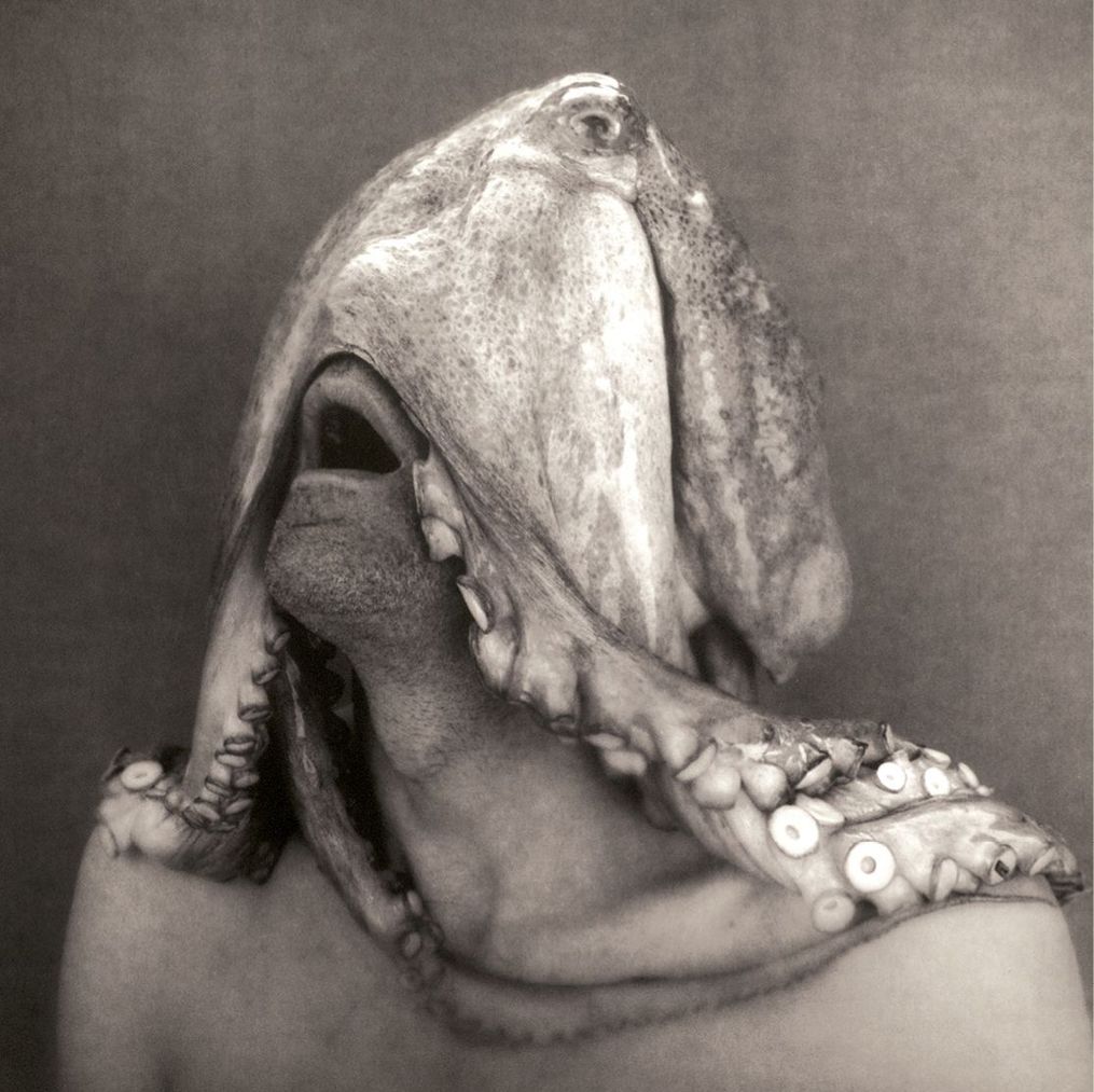 schlechthin schönreden.jpg