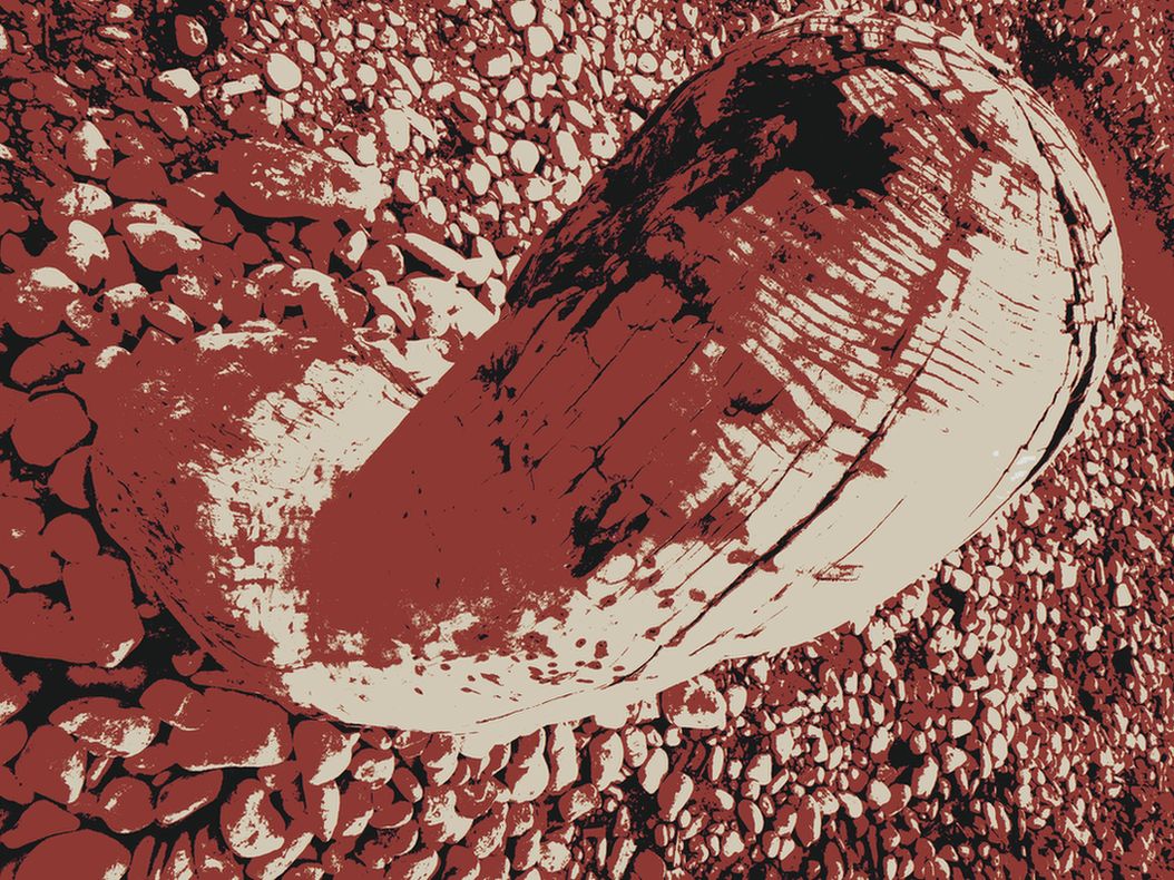 dünner geht s nimmer.JPG