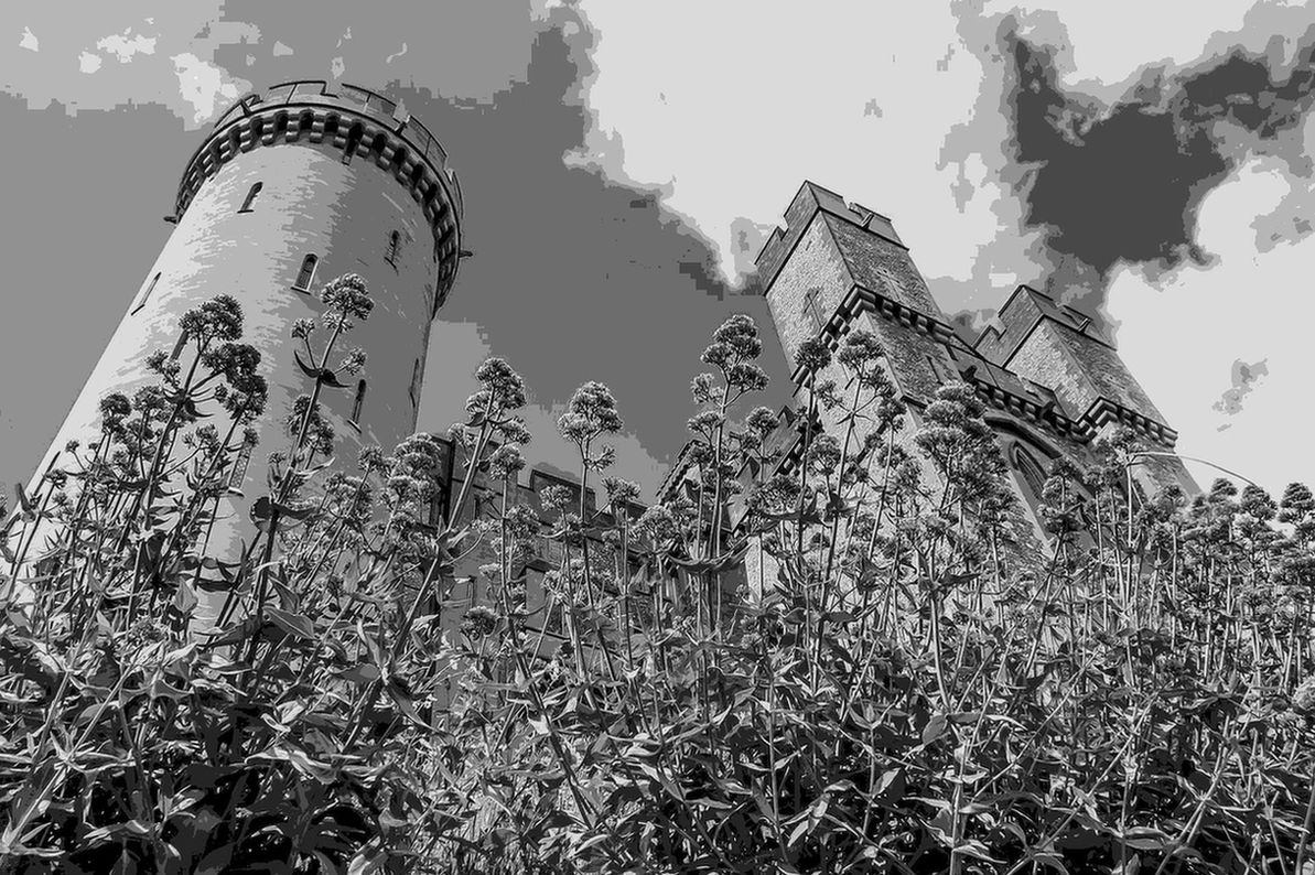 bis heute von gestern.jpg