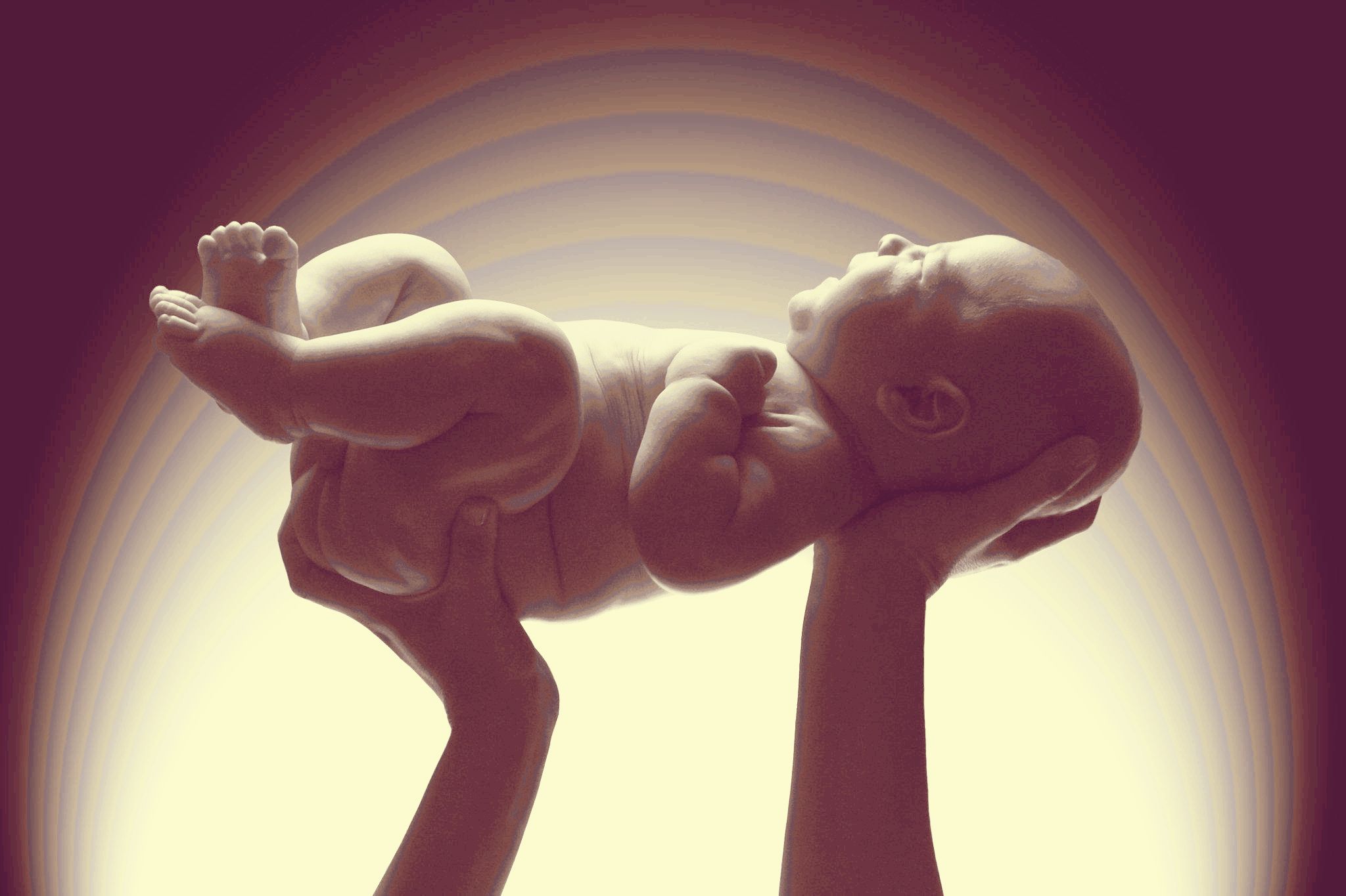 das wofür es sich zu leben lohnt.jpg