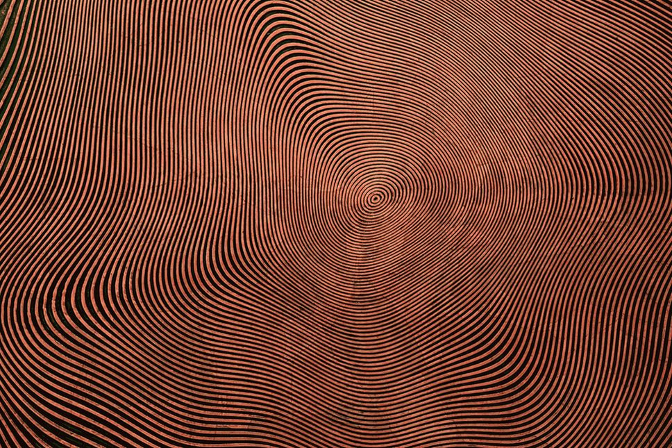 gewisse Schwierigkeiten.jpg