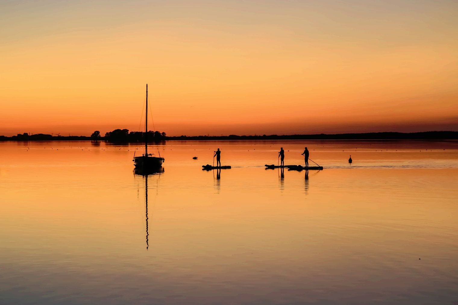 mein s punktuell.jpg