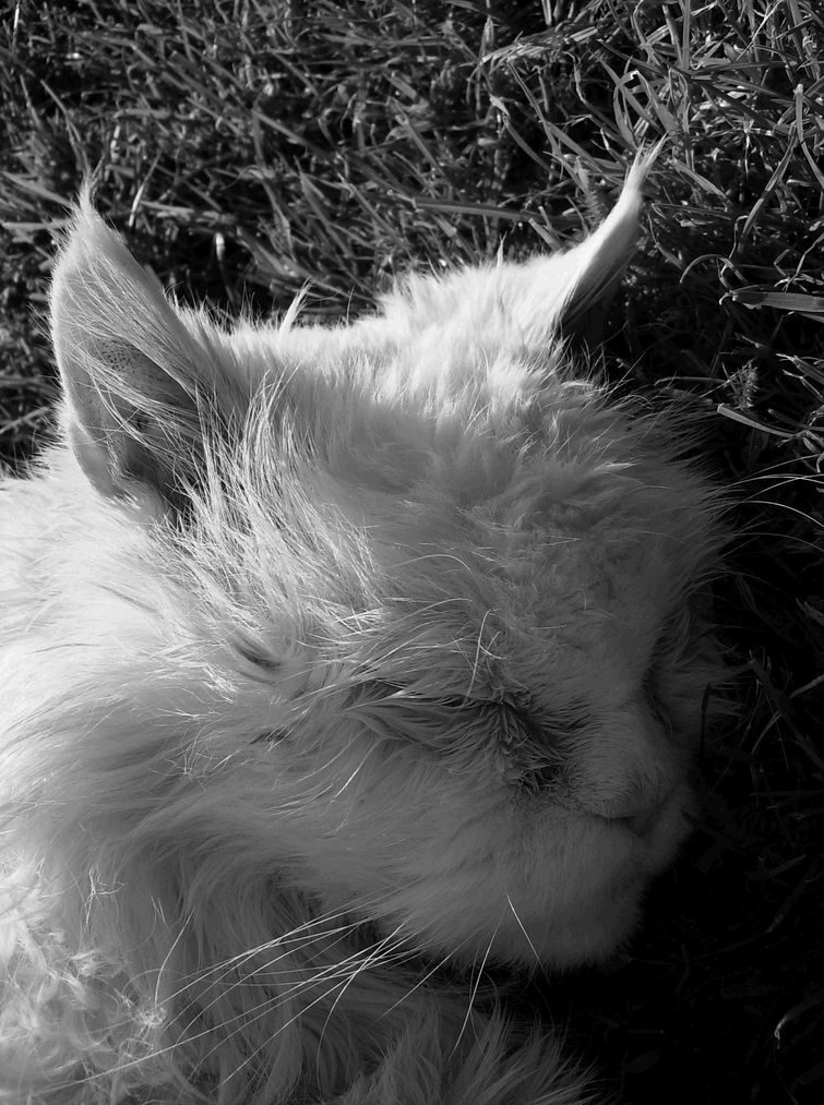 so und nicht anders können.JPG