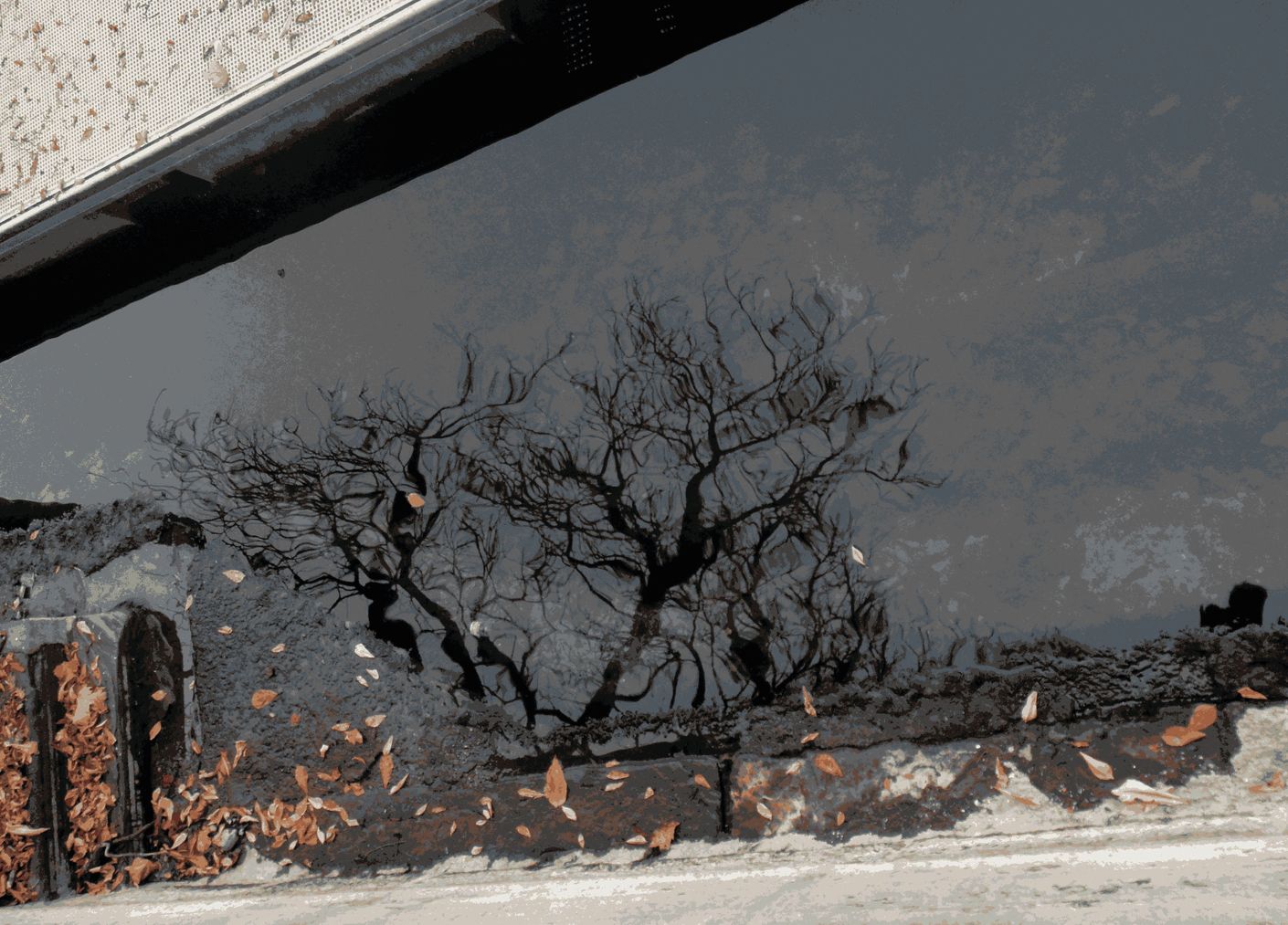 in welchem Zustand auch immer.JPG