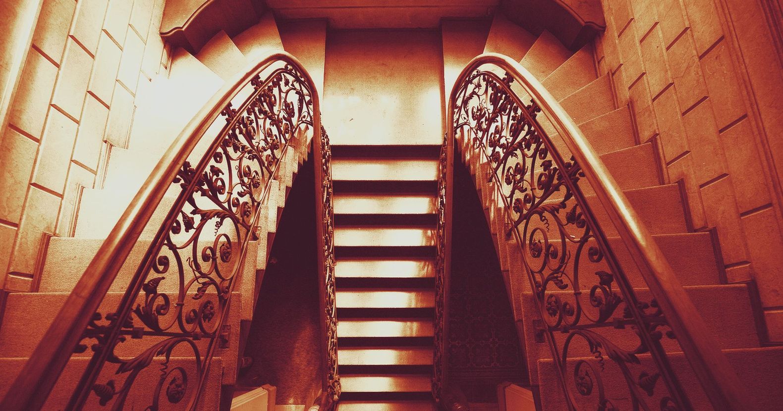 Frauke in ihrem Element.jpg