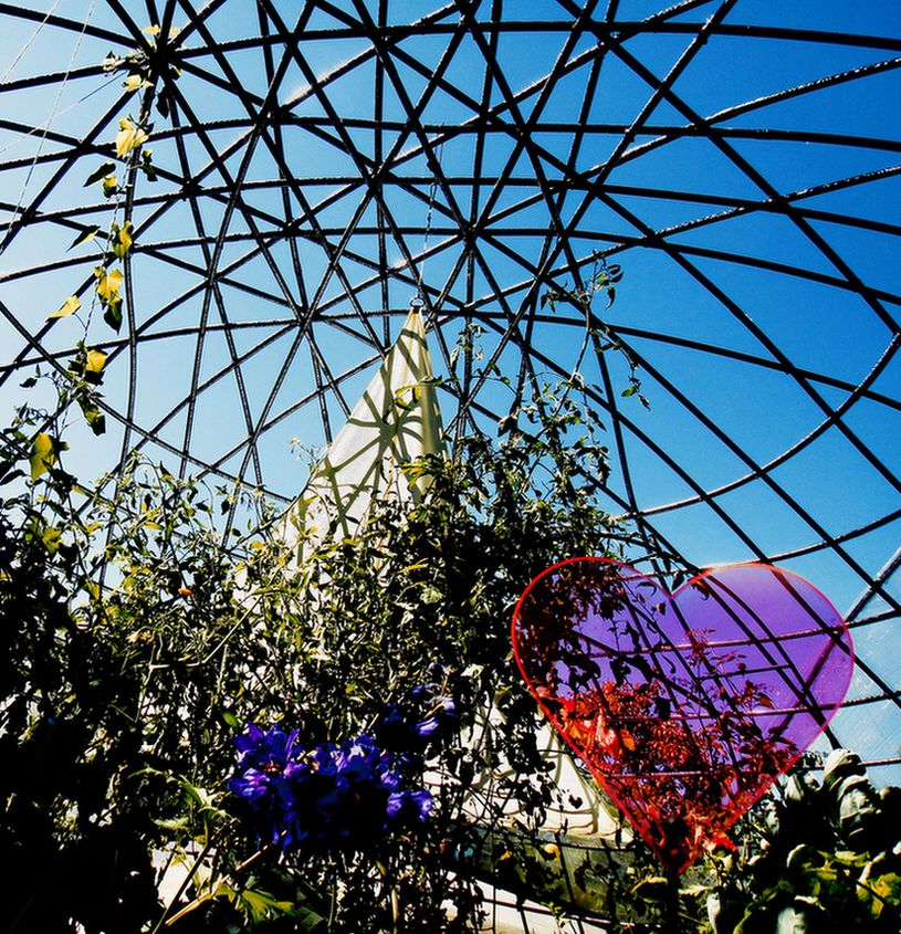 nicht in Stimmung.JPG