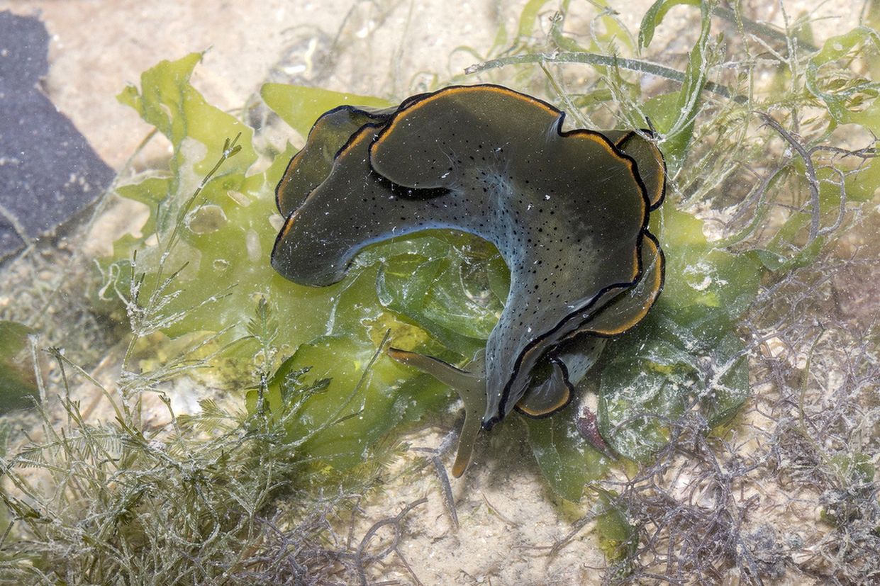 alles reine Kopfsache.jpg