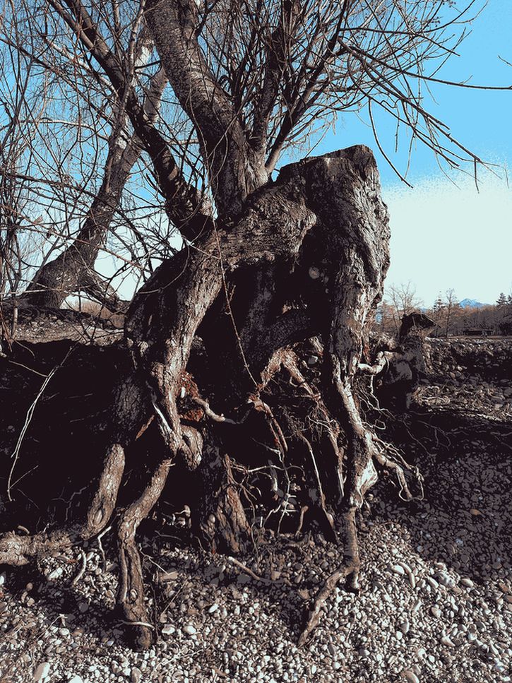 da legst dich nieder.JPG